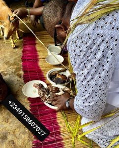 The best important powerful native doctor in all ogun state Nigeria