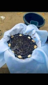 The best powerful spiritual herbalist in Nigeria chief Dr awoniyi+2348117855171