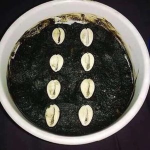 The best powerful spiritual herbalist in Nigeria +2349043422361