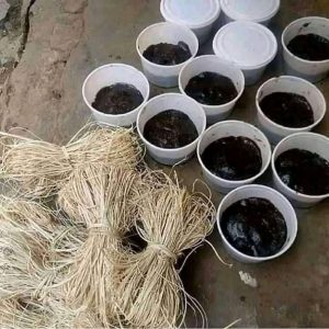 The best powerful spiritual herbalist man in Nigeria