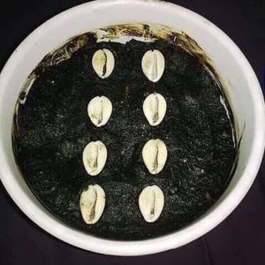 The best powerful herbalist man in all Nigeria +2349043422361