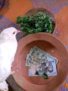 The best powerful spiritual herbalist native doctor in Nigeria +2348055628770