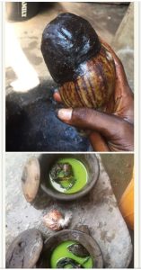 The best powerful spiritual herbalist native doctor in Nigeria +2348055628770